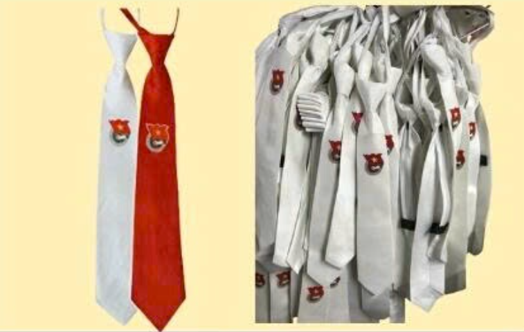 cà vạt Đoàn TNVN